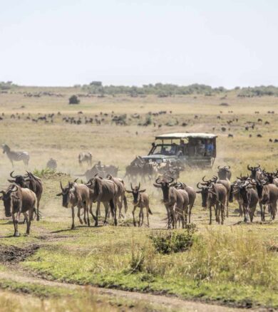 Maasai Mara