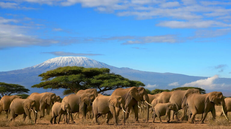 Amboseli National Park