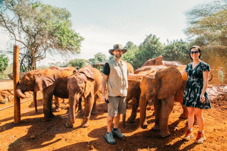 David Sheldrick Wildlife